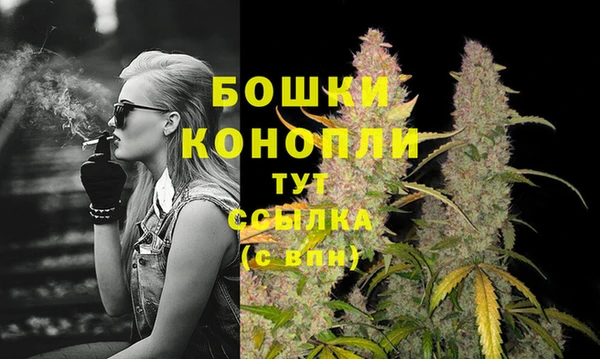 соль ск Балахна
