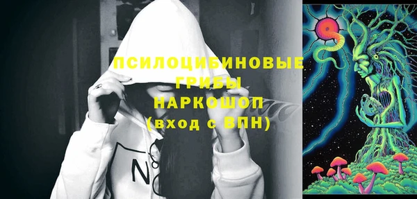 соль курить ск Белокуриха