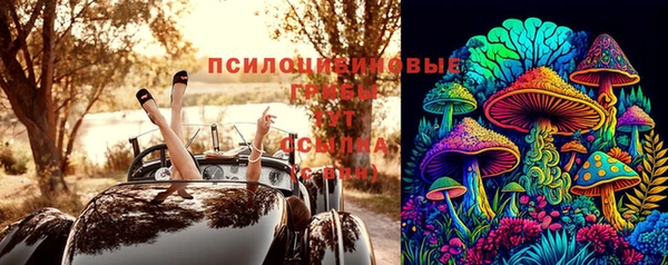 соль курить ск Белокуриха