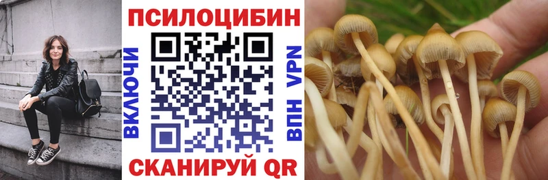 Псилоцибиновые грибы GOLDEN TEACHER  kraken сайт  Калининец 